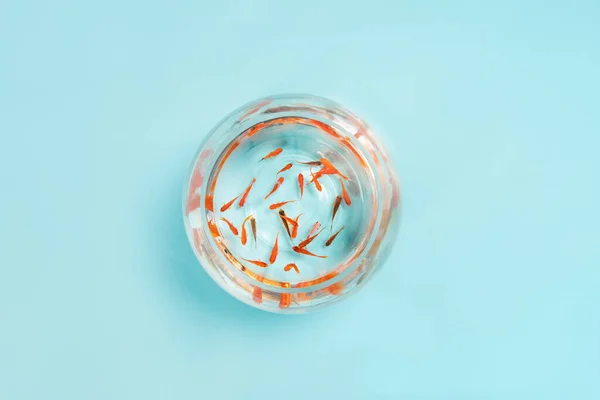 Золотые Рыбки Плавают Аквариуме Синем Фоне — стоковое фото