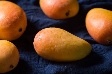 Ripe fresh mango fruit isolated on wood background