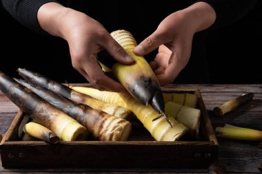 Adamın elleri bambu filizlerini soyuyor..