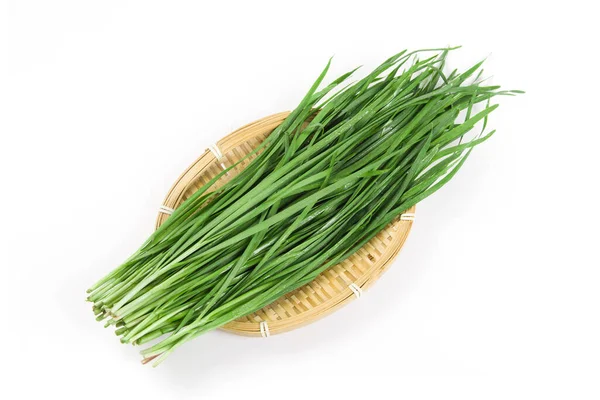 Fresh Chinese Chives Garlic Chives White Background — Stok fotoğraf