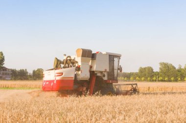 Buğday tarlasında çalışan hasatçıyı birleştirin.