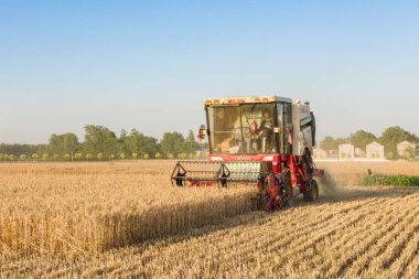Buğday tarlasında çalışan hasatçıyı birleştirin.