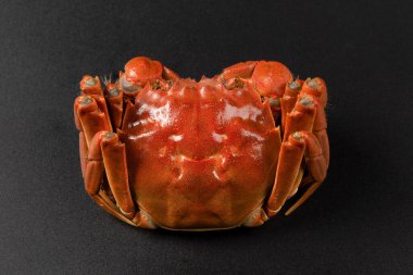 Sarı şaraplı haşlanmış Çin eldiveni yengeci, Şangay kıllı yengeç.