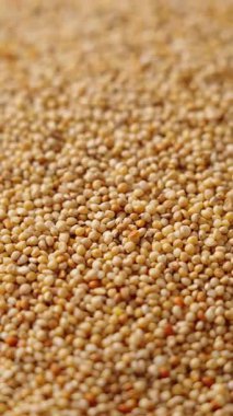 Soyulmamış darı arkaplanının yakın plan görüntüsü