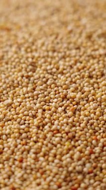 Soyulmamış darı arkaplanının yakın plan görüntüsü