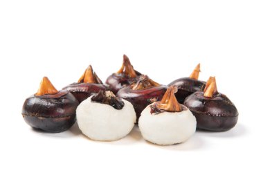 Çiğ Çin kestanesi beyaz arkaplanda izole edilmiş.