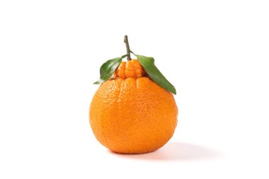 Beyaz arka planda izole edilmiş taze Ponkanlar