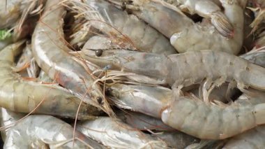 Taze çiğ beyaz karides ya da karides arkaplanının yakın plan çekimi