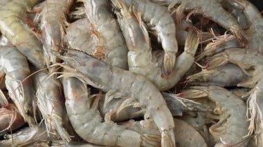 Taze çiğ beyaz karides ya da karides arkaplanının yakın plan çekimi