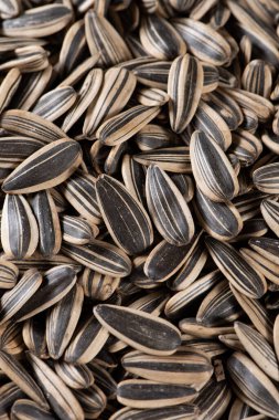 Ayçekirdeği dokusunun yakın plan arkaplanı