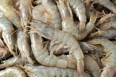 Taze çiğ beyaz karides ya da karides arkaplanının yakın plan çekimi