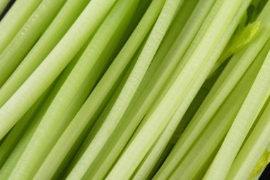 Taze yeşil kereviz sapı arka planına yakın çekim