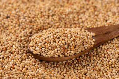 Antik Çince kitap beyaz Çince çeviri geleneksel Çince tıbbi materyallere izole edilmiştir.