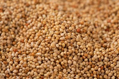 Antik Çince kitap beyaz Çince çeviri geleneksel Çince tıbbi materyallere izole edilmiştir.