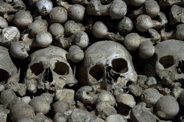 Korkunç kafatasları ve kemikleri