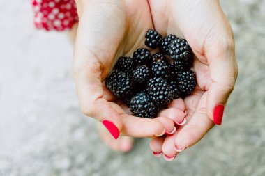 Bir kadının eline bir avuç böğürtlen yakın çekim.