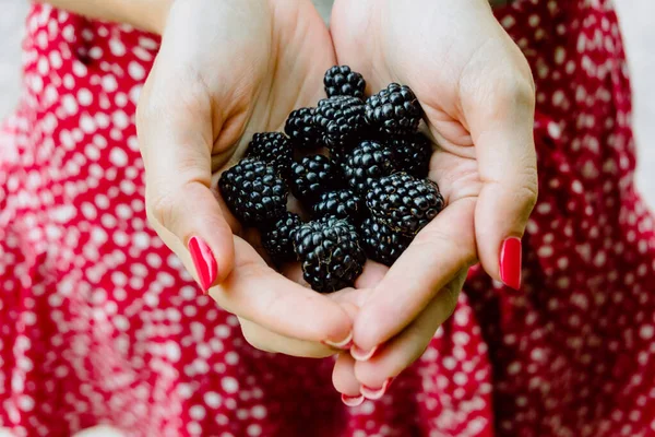 Close Shot Handful Wild Blackberries Woman Hands — Stock Photo, Image