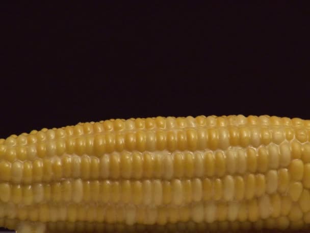 Sprinkling cooked corn  with salt — Stock Video