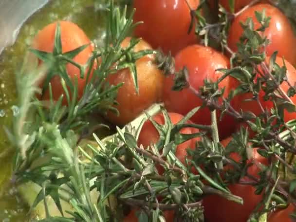 Frying tomatoes with herbs — Stock Video