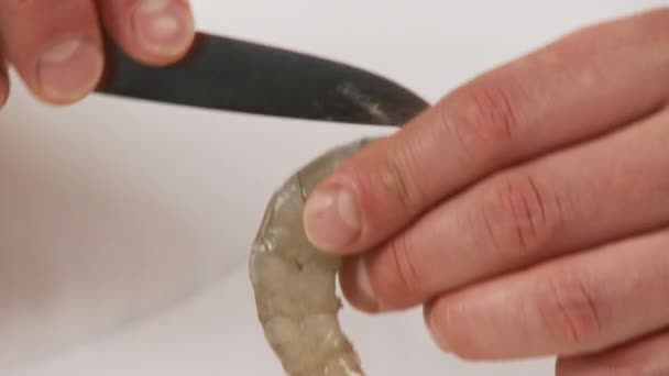 Chef cleaning prawns — Stock Video