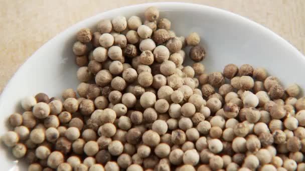 Plato de granos de pimienta blanca — Vídeo de stock