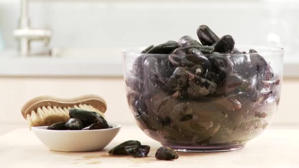 Mussels and a kitchen brush — Stock Video