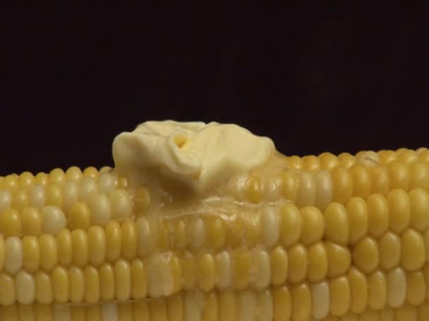 Corn with melting butter — Stock Video