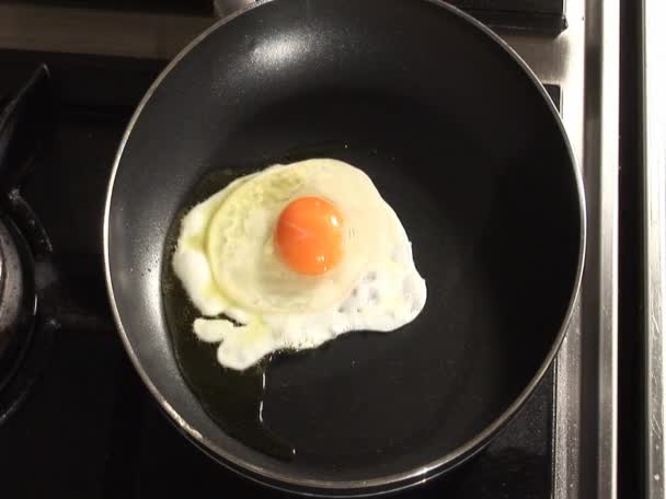 Frying egg in pan — Stock Video