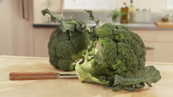 Stukken van verse broccoli — Stockvideo