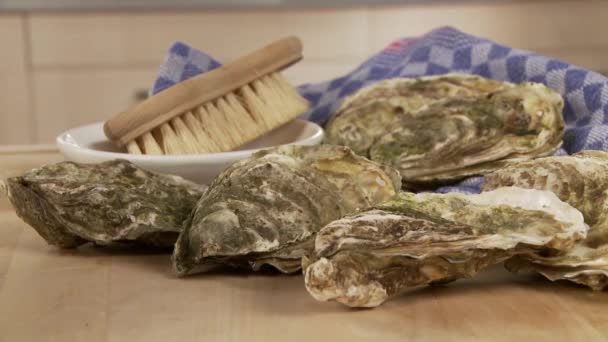 Oysters and a kitchen brush — Stock Video