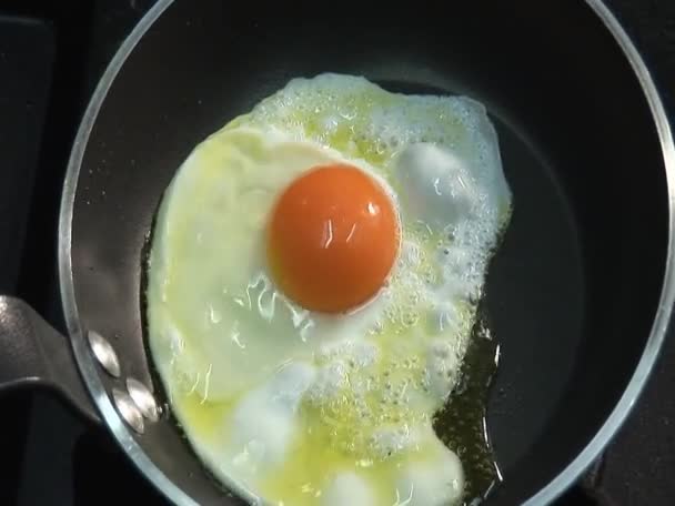 Steka ägg i stekpanna — Stockvideo