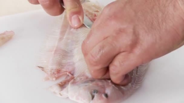 Solo de peixe a ser filetado — Vídeo de Stock