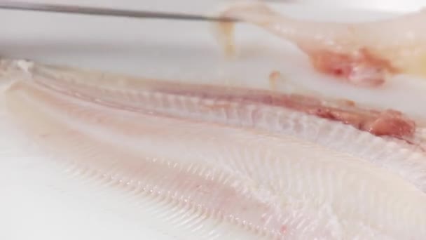 Sole being filleted — Stock Video