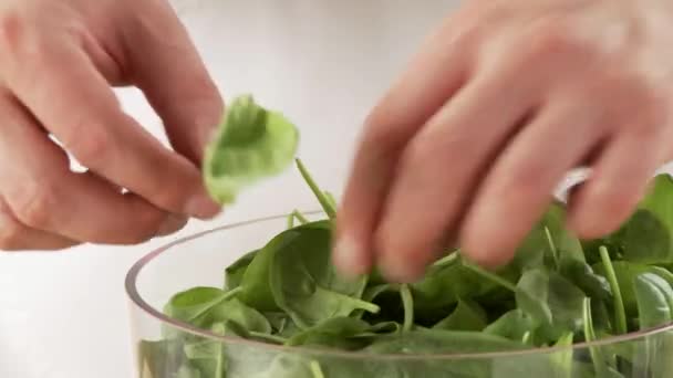 Сбор листьев шпината из стеблей — стоковое видео