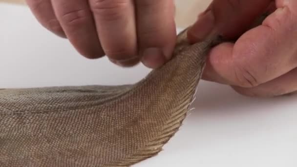 Sole being prepared close up — Stock Video