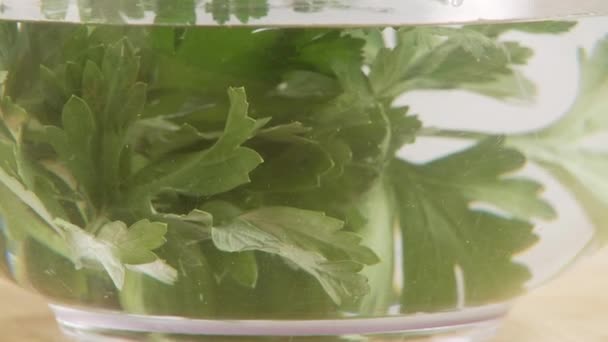 Bunch of parsley in bowl of water — Stock Video