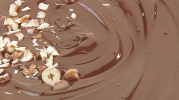Haselnüsse fallen in geschmolzene Schokolade — Stockvideo