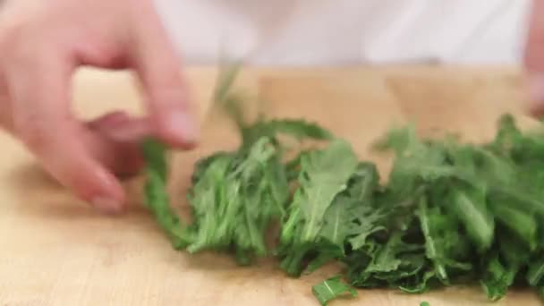 Rucola wird geschnitten und sortiert — Stockvideo