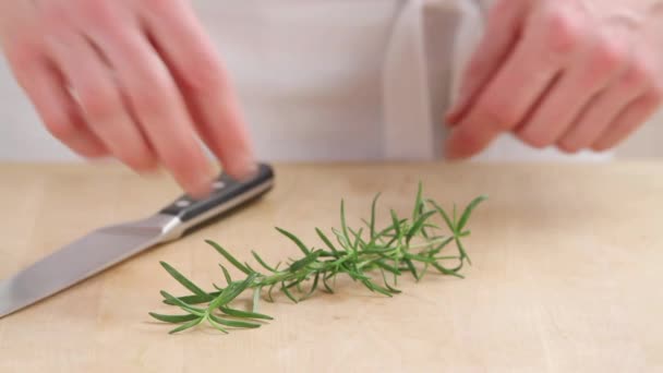 Rosemary needles being removed from a sprig — Stock Video