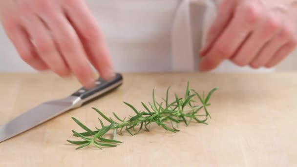 Rosemary Needles Being Removed From A Sprig Stock Video C Stockfoodgmbh 67738547