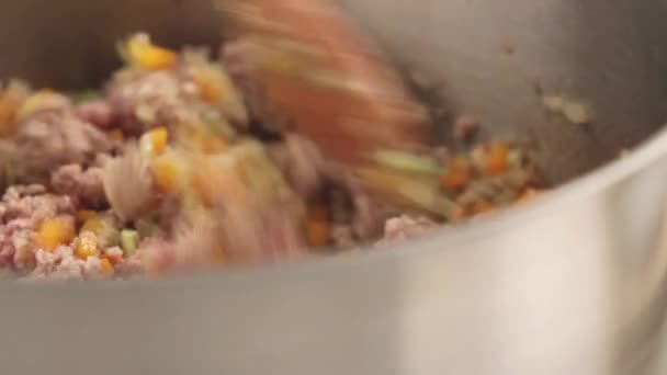 Meat and vegetables being stirred — Stock Video