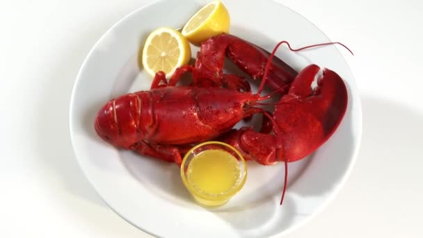 Cooked lobsters with sauce — Stock Video