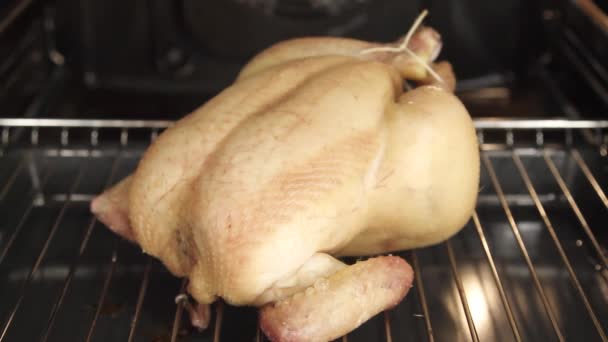 Pollo siendo cepillado con mantequilla especiada — Vídeo de stock