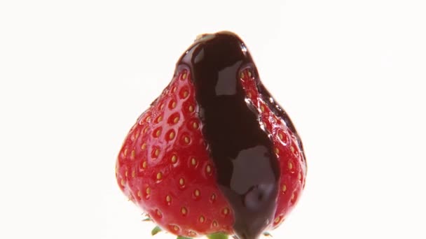 A strawberry with chocolate icing — Stock Video