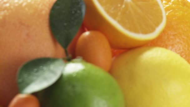 Diverse citrusfrukter på tallrik — Stockvideo