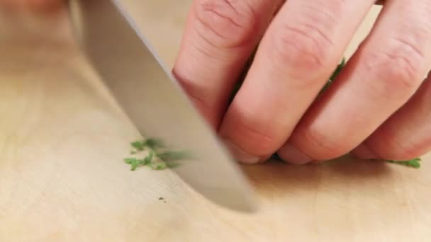 Chervil siendo picado — Vídeos de Stock