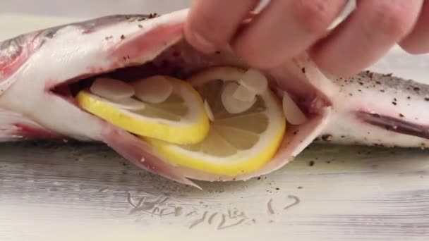 Bass being stuffed with basil — Stock Video