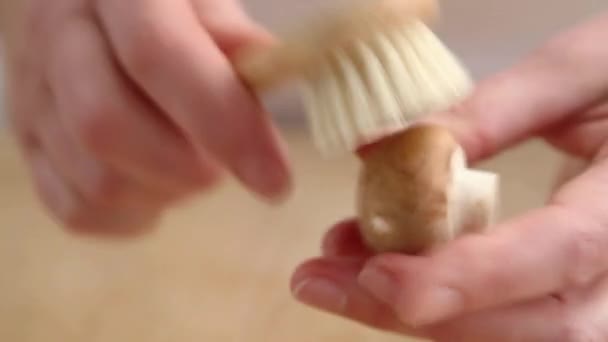 Mushrooms being cleaned — Stock Video