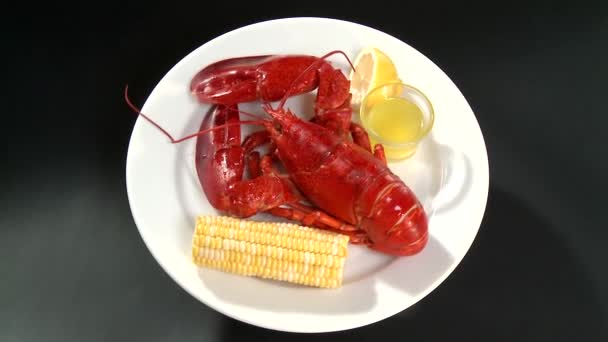 Cooked lobster with corn on the cob — Stock Video