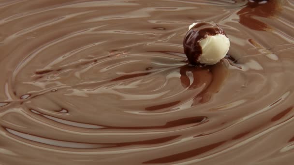 Trufas de chocolate blanco en chocolate con leche derretida — Vídeos de Stock